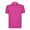 Under Armour Charged Cotton Scramble Stripe Men's Polo (Pink)